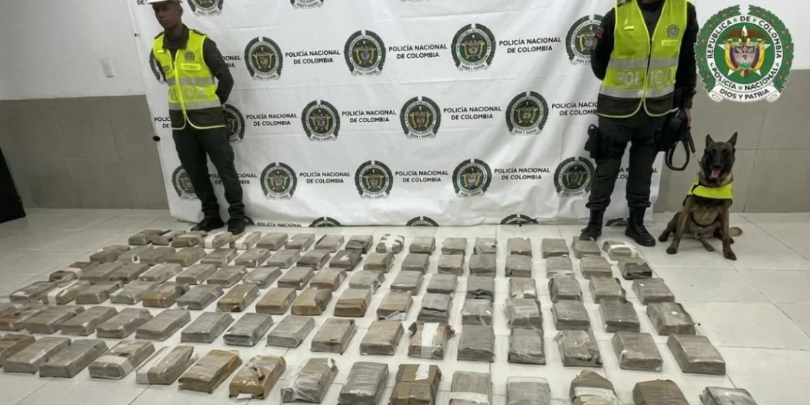 Incautan 101 kilos de cocaína en el puerto de Santa Marta; tenían como destino Bélgica.