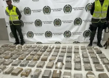 Incautan 101 kilos de cocaína en el puerto de Santa Marta; tenían como destino Bélgica.