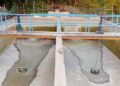 Bloqueo en la PTAP El Jordán mantiene suspendido el servicio de agua potable en Maicao
