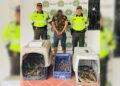 Recuperan 94 animales silvestres durante operativo contra el tráfico ilegal en Magdalena