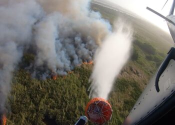 Más de 6.800 galones de agua fueron utilizados para controlar incendio en el Parque Isla Salamanca