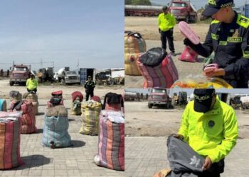 Incautan mercancía de contrabando avaluada en más de $929 millones en Santa Marta