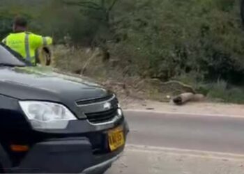 Levantan bloqueo en vía Distracción–Cuestecitas tras acuerdo entre transportadores y autoridades