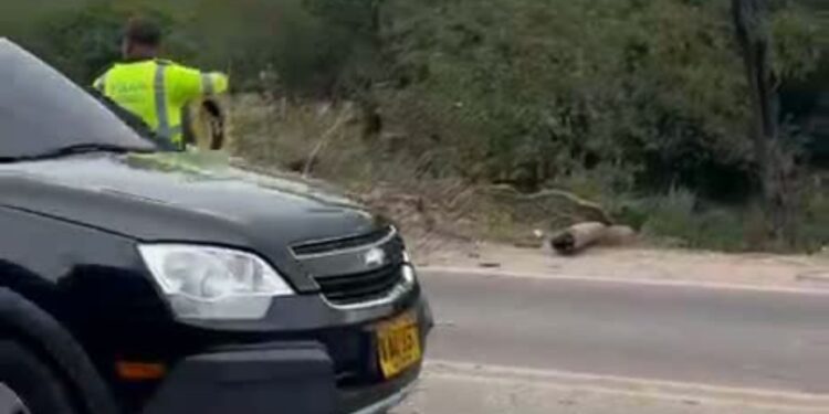 Levantan bloqueo en vía Distracción–Cuestecitas tras acuerdo entre transportadores y autoridades