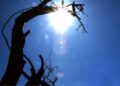 OMM advierte que el fenómeno de El Niño se intensificará entre agosto y octubre