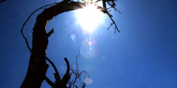 OMM advierte que el fenómeno de El Niño se intensificará entre agosto y octubre