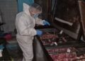 Desmantelan red que sacrificaba caballos y comercializaba su carne de forma ilegal en Bucaramanga