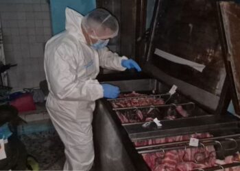 Desmantelan red que sacrificaba caballos y comercializaba su carne de forma ilegal en Bucaramanga