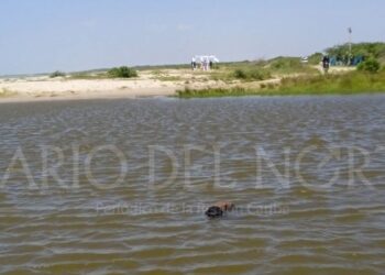 Hallan cuerpo de un hombre en aguas del río Ranchería, en Riohacha