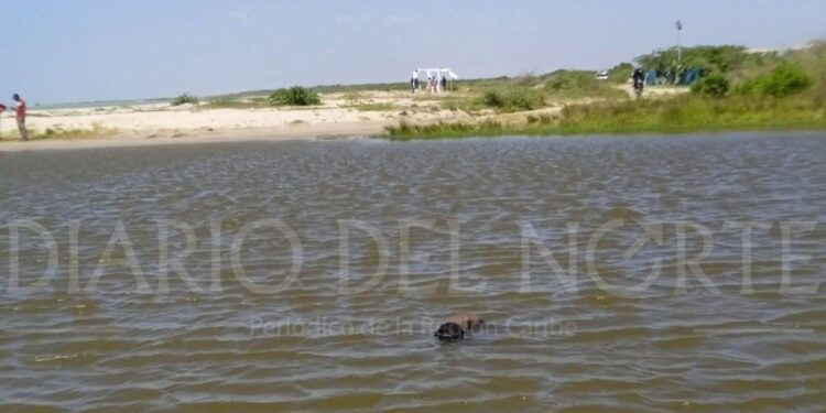Hallan cuerpo de un hombre en aguas del río Ranchería, en Riohacha