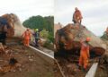 Talan de manera preventiva una ceiba en Villanueva por riesgo para la comunidad