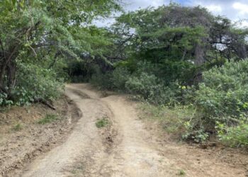 Hallan cuerpo en avanzado estado de descomposición en zona rural de Riohacha