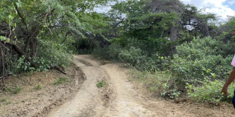 Hallan cuerpo en avanzado estado de descomposición en zona rural de Riohacha