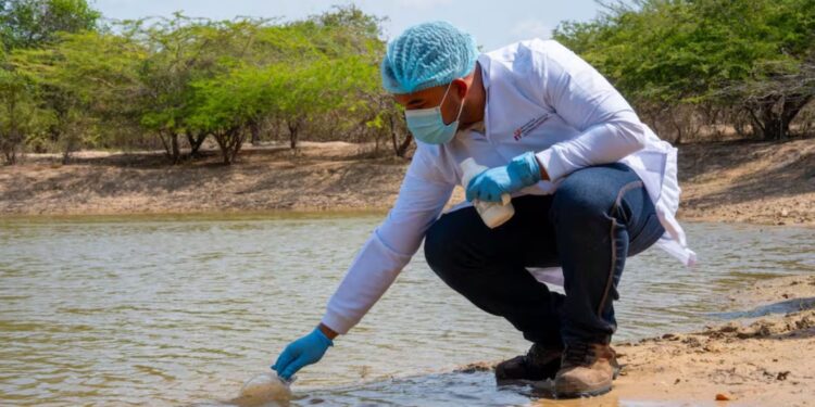 Corte Constitucional verifica acceso a salud y agua de comunidades wayuu en La Guajira