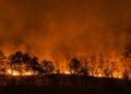 EE.UU. destina US$48.000 para atender incendios forestales en Colombia