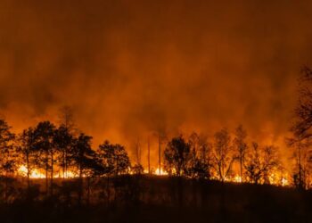 EE.UU. destina US$48.000 para atender incendios forestales en Colombia