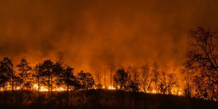 EE.UU. destina US$48.000 para atender incendios forestales en Colombia