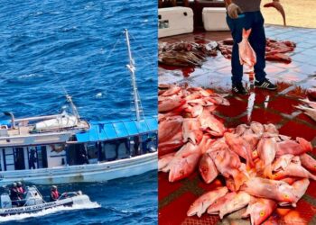Armada intercepta embarcación venezolana y captura a seis tripulantes por pesca no autorizada en La Guajira