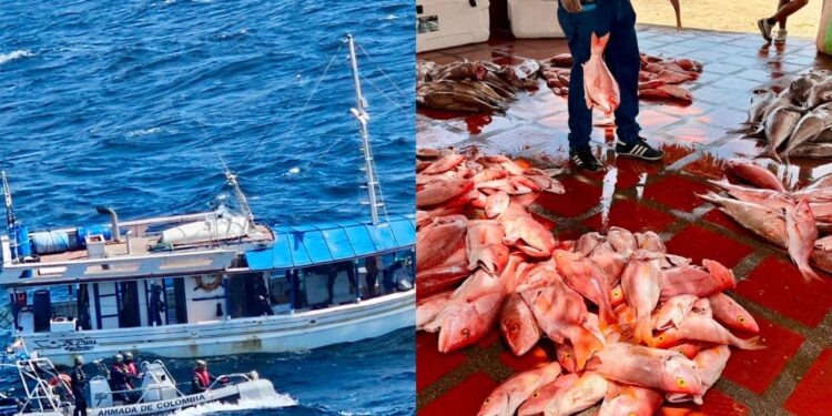 Armada intercepta embarcación venezolana y captura a seis tripulantes por pesca no autorizada en La Guajira