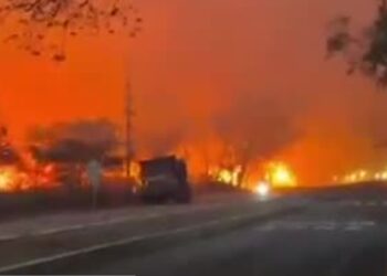 Incendios forestales consumen 20.000 hectáreas y mantienen en alerta al Tolima