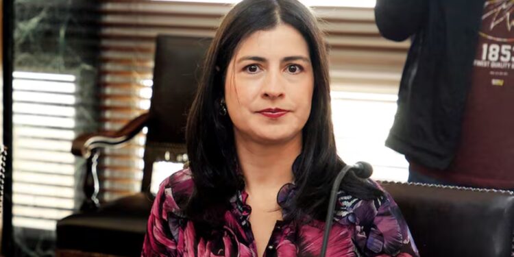 Polémica en la CCI: Carolina Soto declina su nombramiento tras presión del Gobierno Nacional