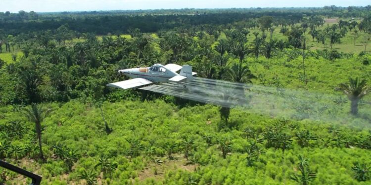 Gobierno da luz verde al proceso para retomar la aspersión aérea contra cultivos ilícitos