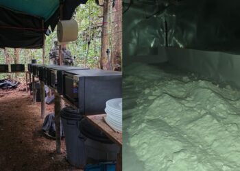 Incautan 4,5 toneladas de cocaína en operaciones contra el narcotráfico