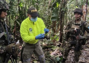 Destruyen laboratorio de narcotráfico con más de 15 toneladas de permanganato en Guaviare