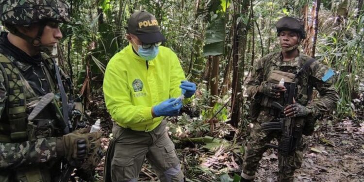 Destruyen laboratorio de narcotráfico con más de 15 toneladas de permanganato en Guaviare
