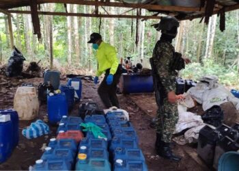 Ejército y Policía hallan complejo cocalero con más de 500 kilos de cocaína en Putumayo