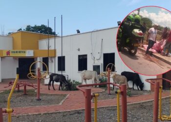 Línea de alta tensión tendida sobre una vía habría electrocutado a un semoviente en Barrancas