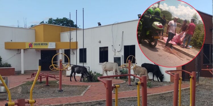 Línea de alta tensión tendida sobre una vía habría electrocutado a un semoviente en Barrancas