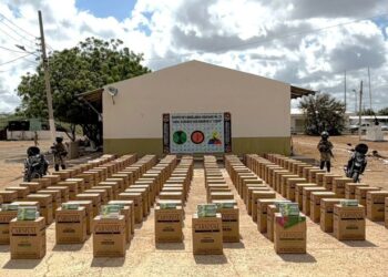 Incautan millonario cargamento de cigarrillos de contrabando en Maicao