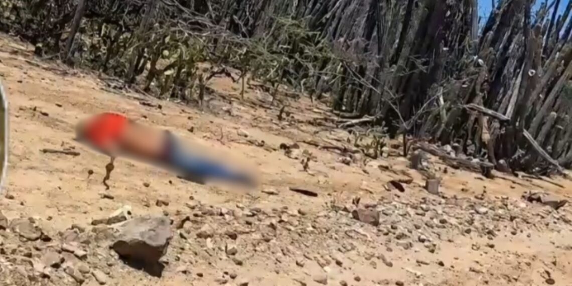 Hallan cuerpo de un hombre wayuu en zona rural de Uribia; autoridades investigan las circunstancias de su muerte