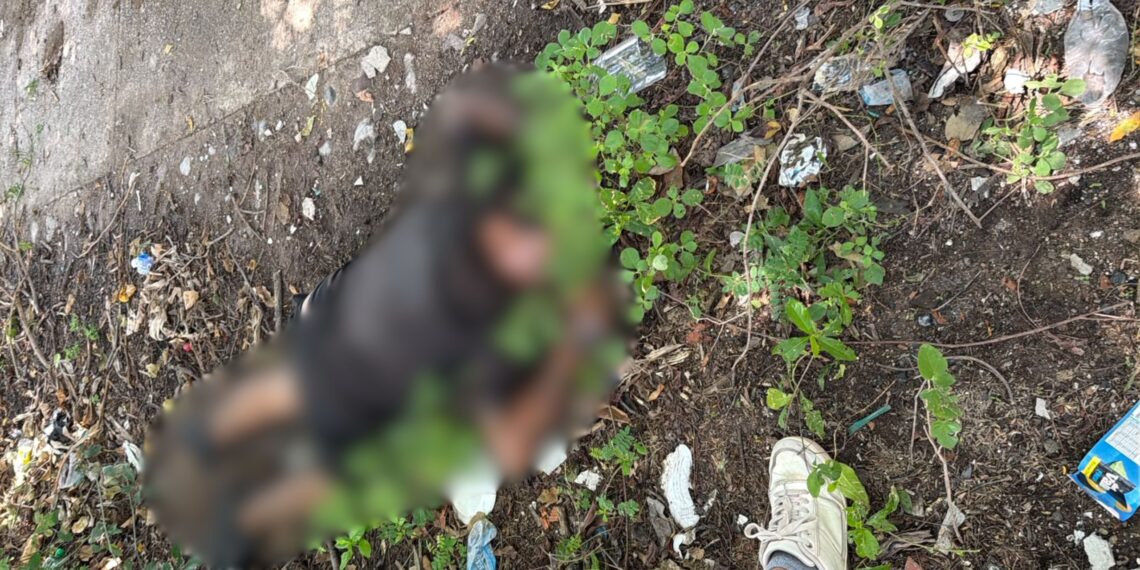 Hallan cuerpo sin vida de un hombre en cercanías del río de El Molino, La Guajira