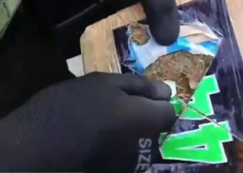 Incautan 636 kilos de marihuana tipo ‘creepy’ en un vehículo en el Valle del Cauca