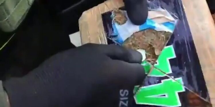 Incautan 636 kilos de marihuana tipo ‘creepy’ en un vehículo en el Valle del Cauca